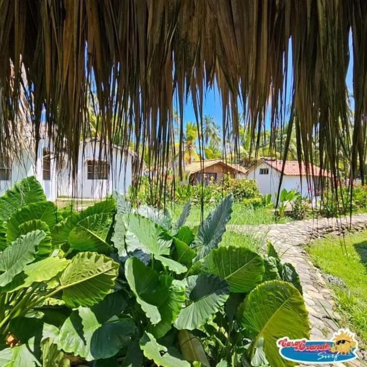 Casa Grande Surf Hotel Guachaca Værelse billede